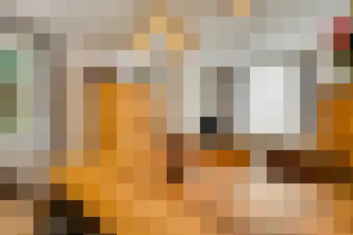 Raadhuisstraat 77 Hulsberg thumbnail 6