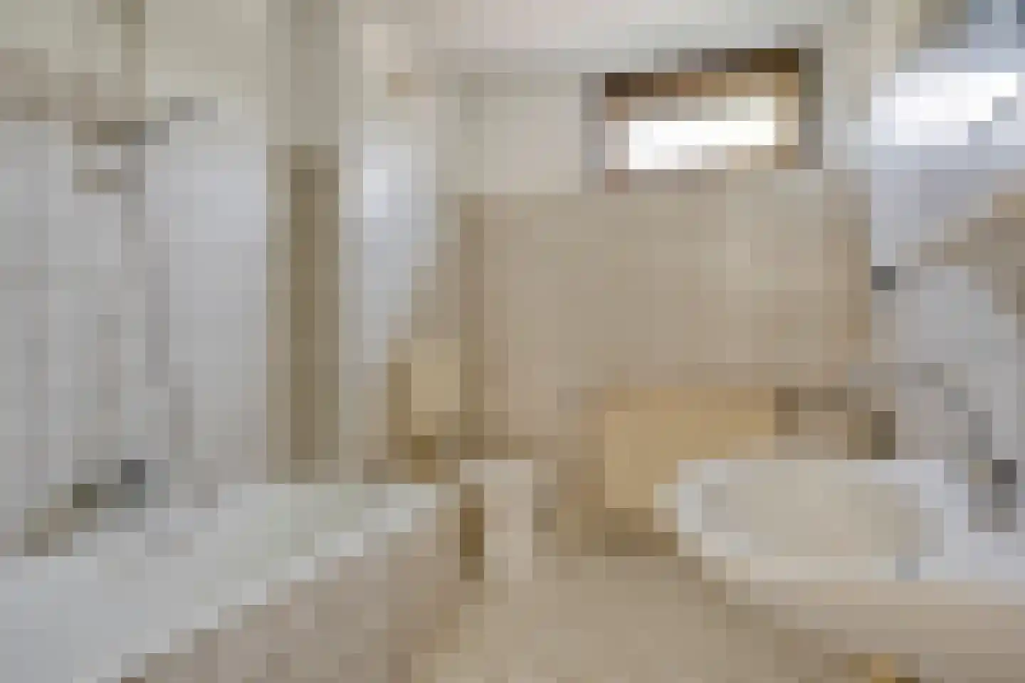 Raadhuisstraat 79 Druten thumbnail 13