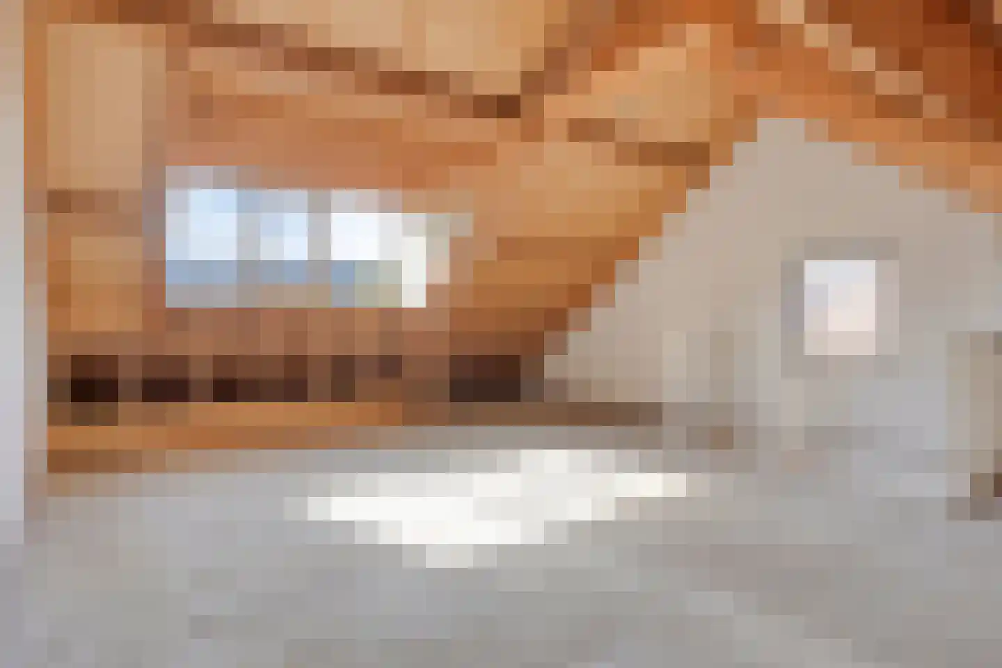 Raadhuisstraat 79 Druten thumbnail 21
