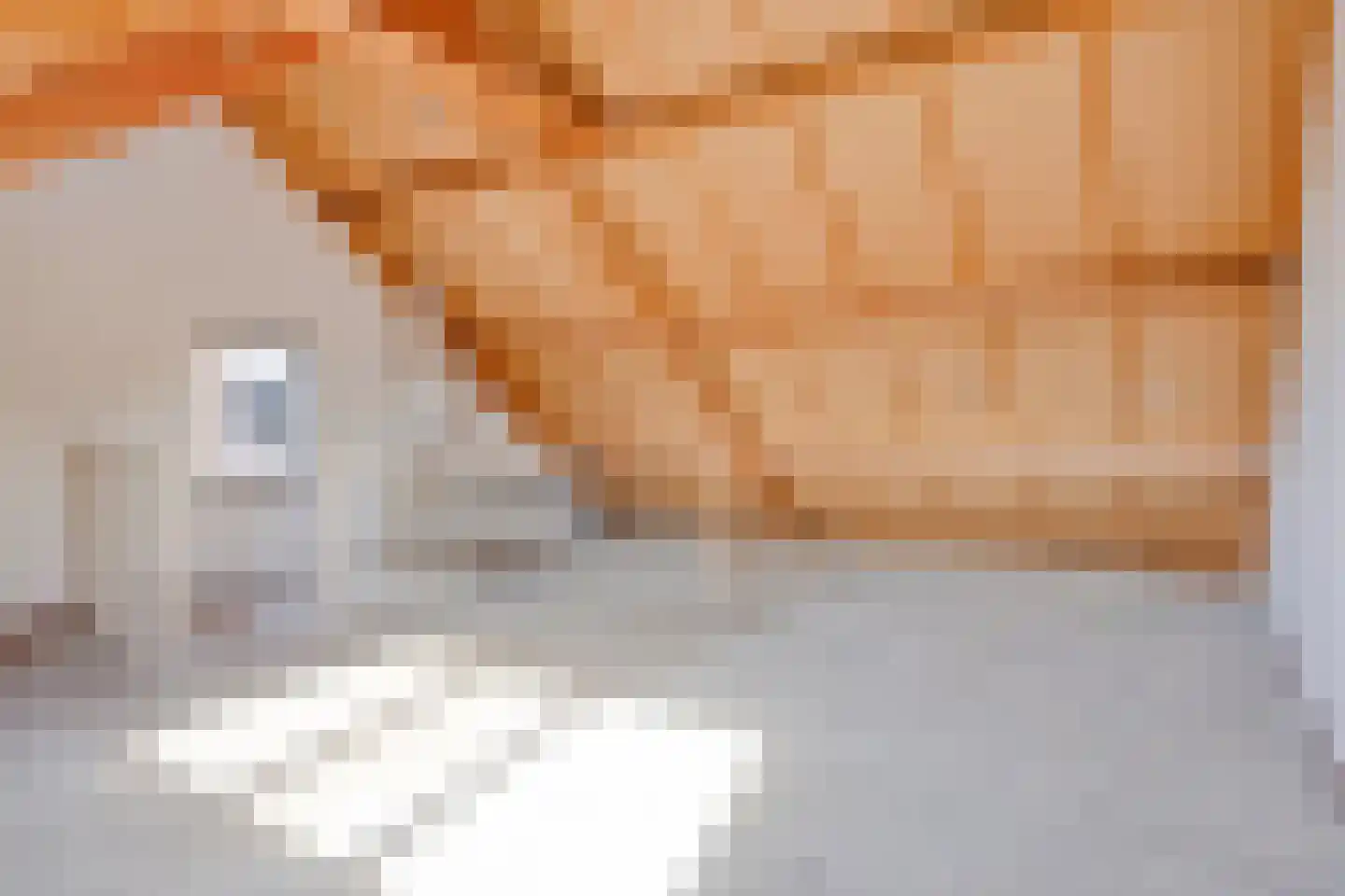 Raadhuisstraat 79 Druten thumbnail 22