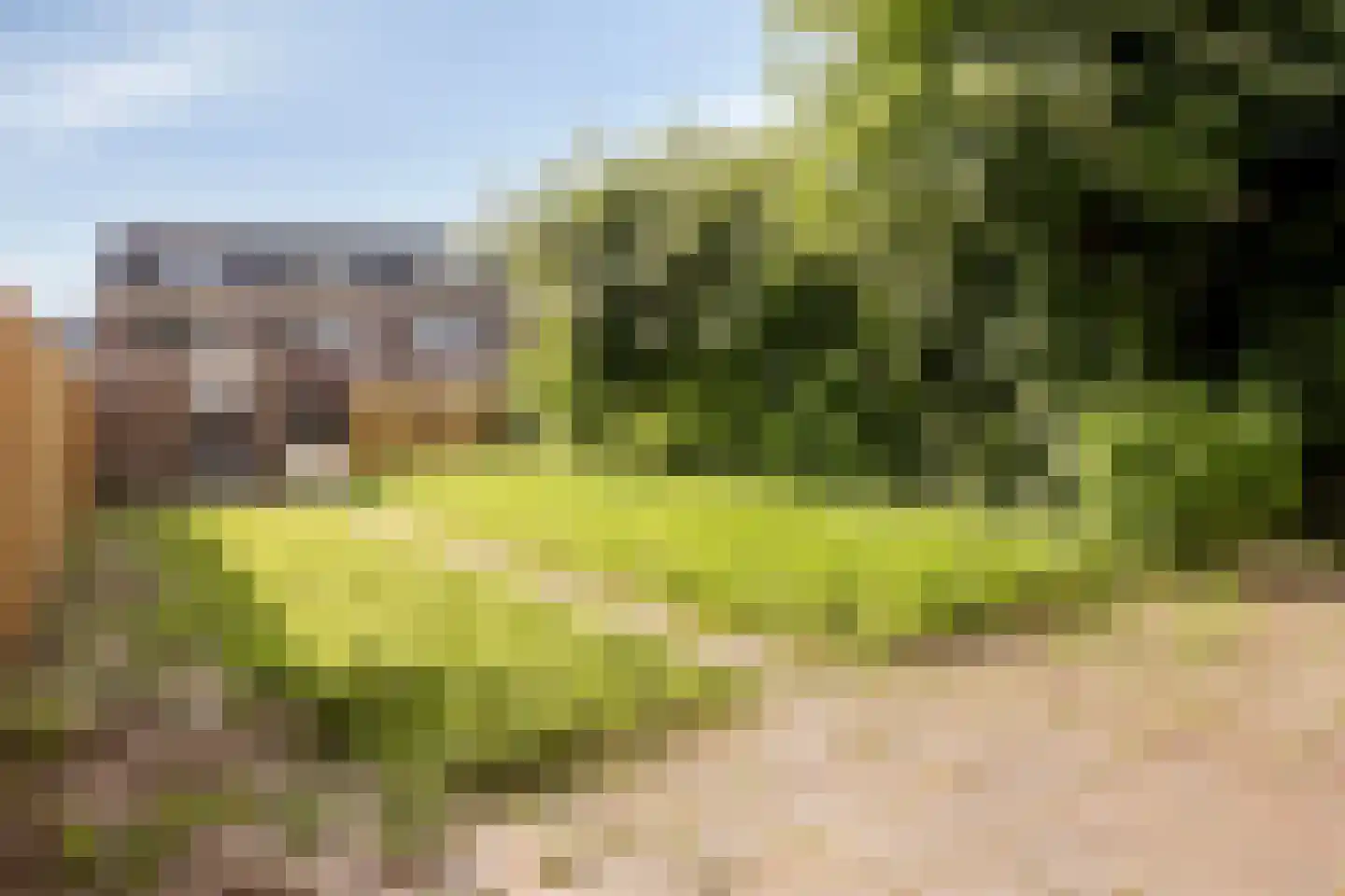Raadhuisstraat 79 Druten thumbnail 24