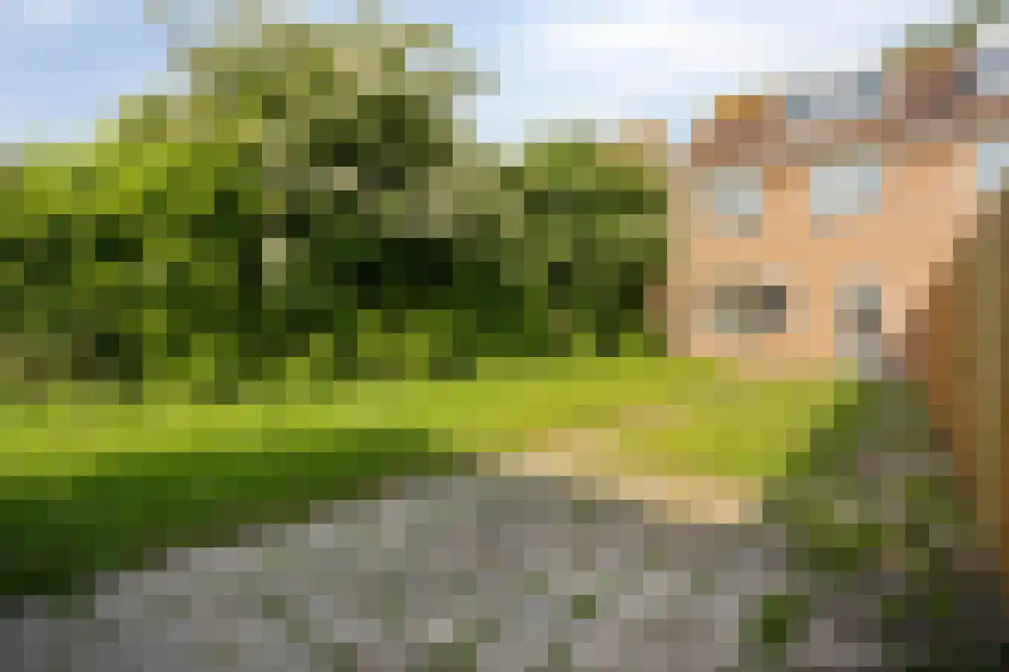 Raadhuisstraat 79 Druten thumbnail 29