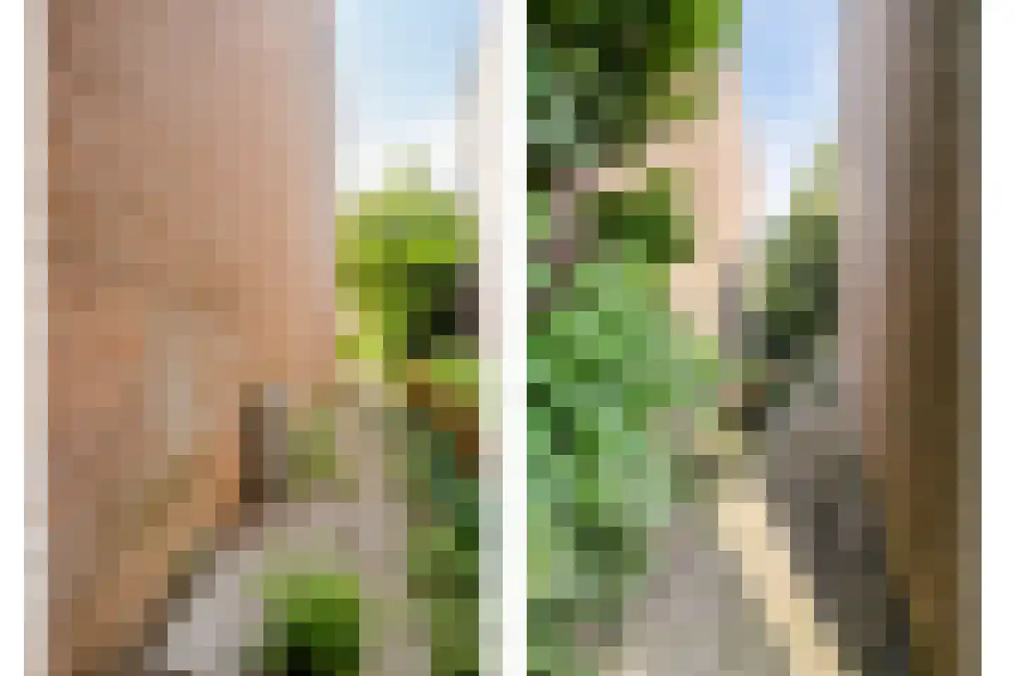 Raadhuisstraat 79 Druten thumbnail 30