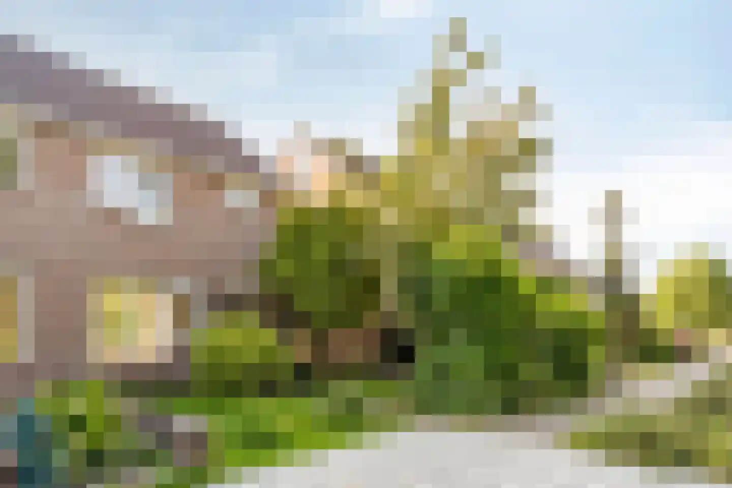 Raadhuisstraat 79 Druten thumbnail 31