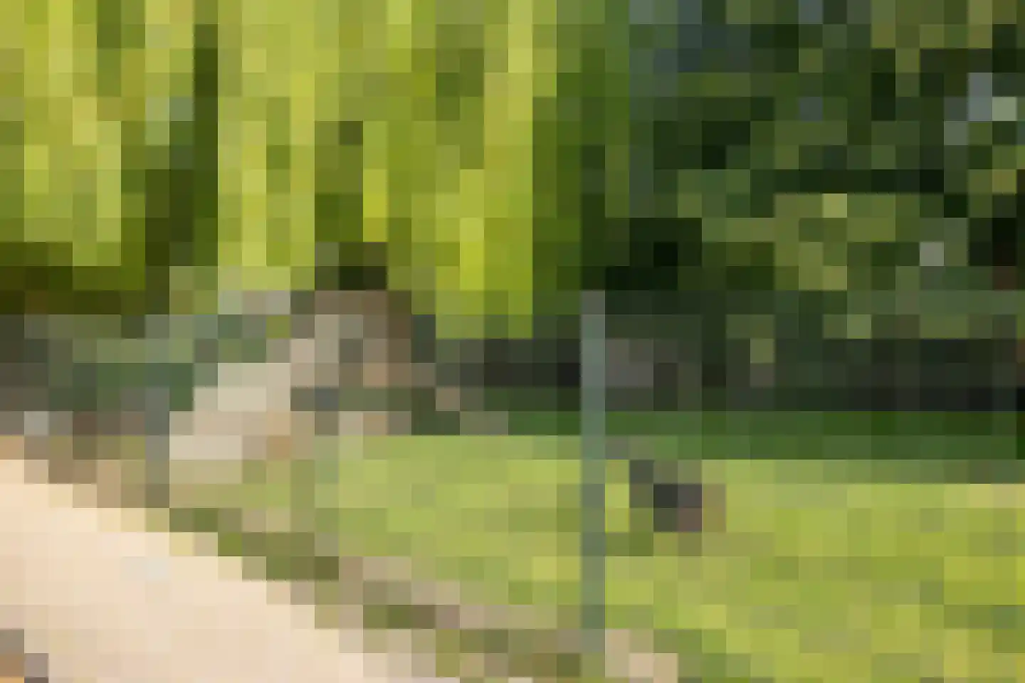 Raadhuisstraat 79 Druten thumbnail 32