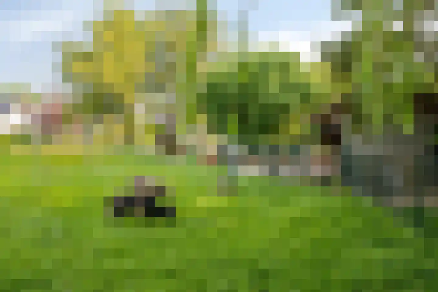Raadhuisstraat 79 Druten thumbnail 33