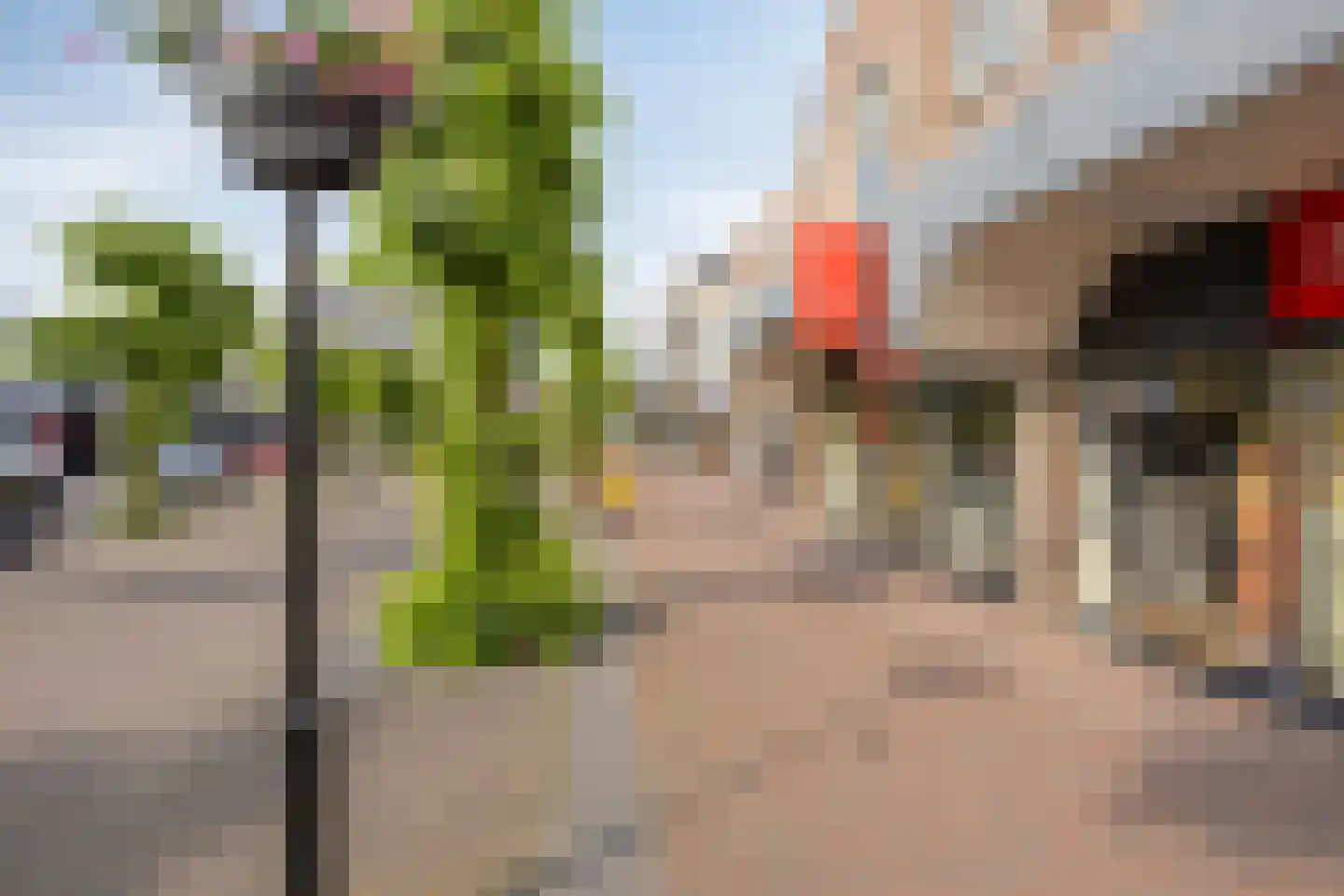 Raadhuisstraat 79 Druten thumbnail 34