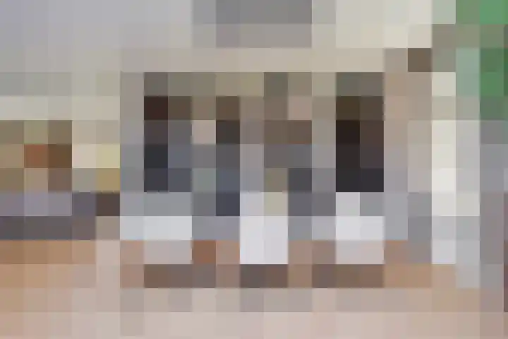 Raadhuisstraat 8 Berkel-Enschot thumbnail 12
