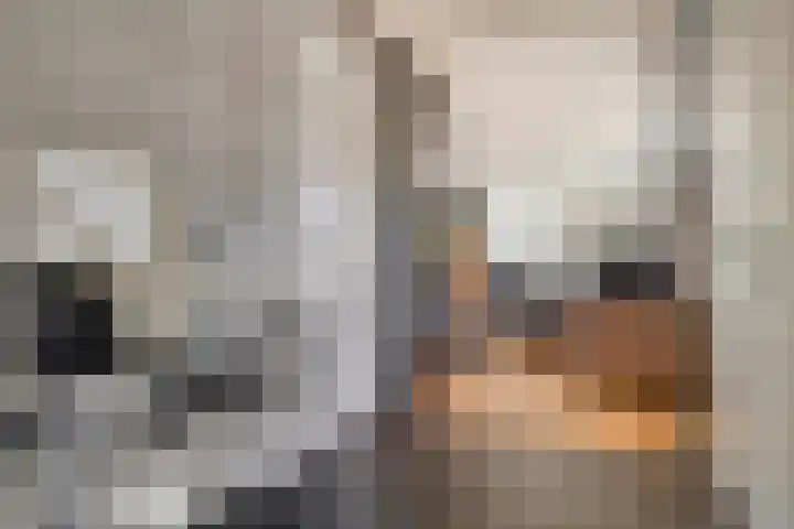 Raadhuisstraat 8 Berkel-Enschot thumbnail 21
