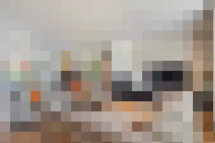 Raadhuisstraat 8 Berkel-Enschot thumbnail 5
