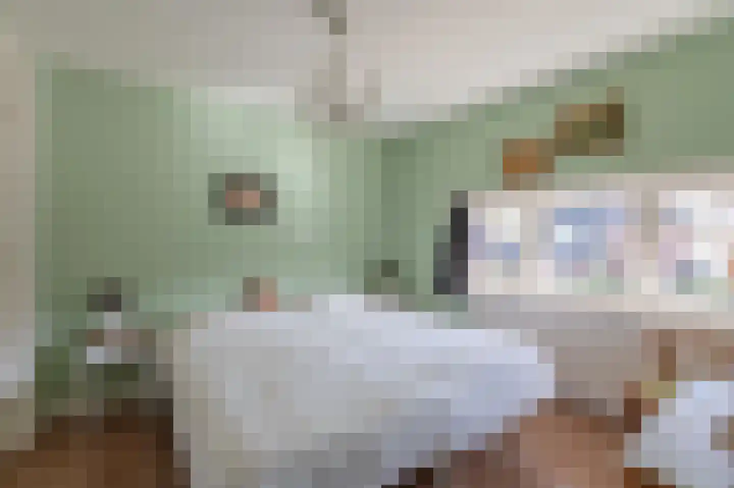 Raadhuisstraat 82 Waalre thumbnail 17