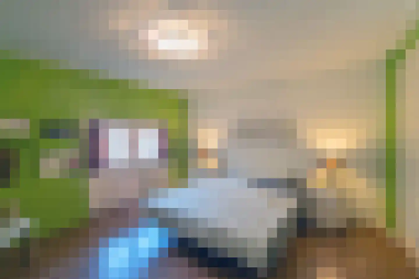 Raadhuisstraat 82 Waalre thumbnail 19