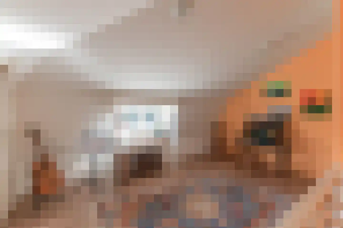 Raadhuisstraat 82 Waalre thumbnail 25