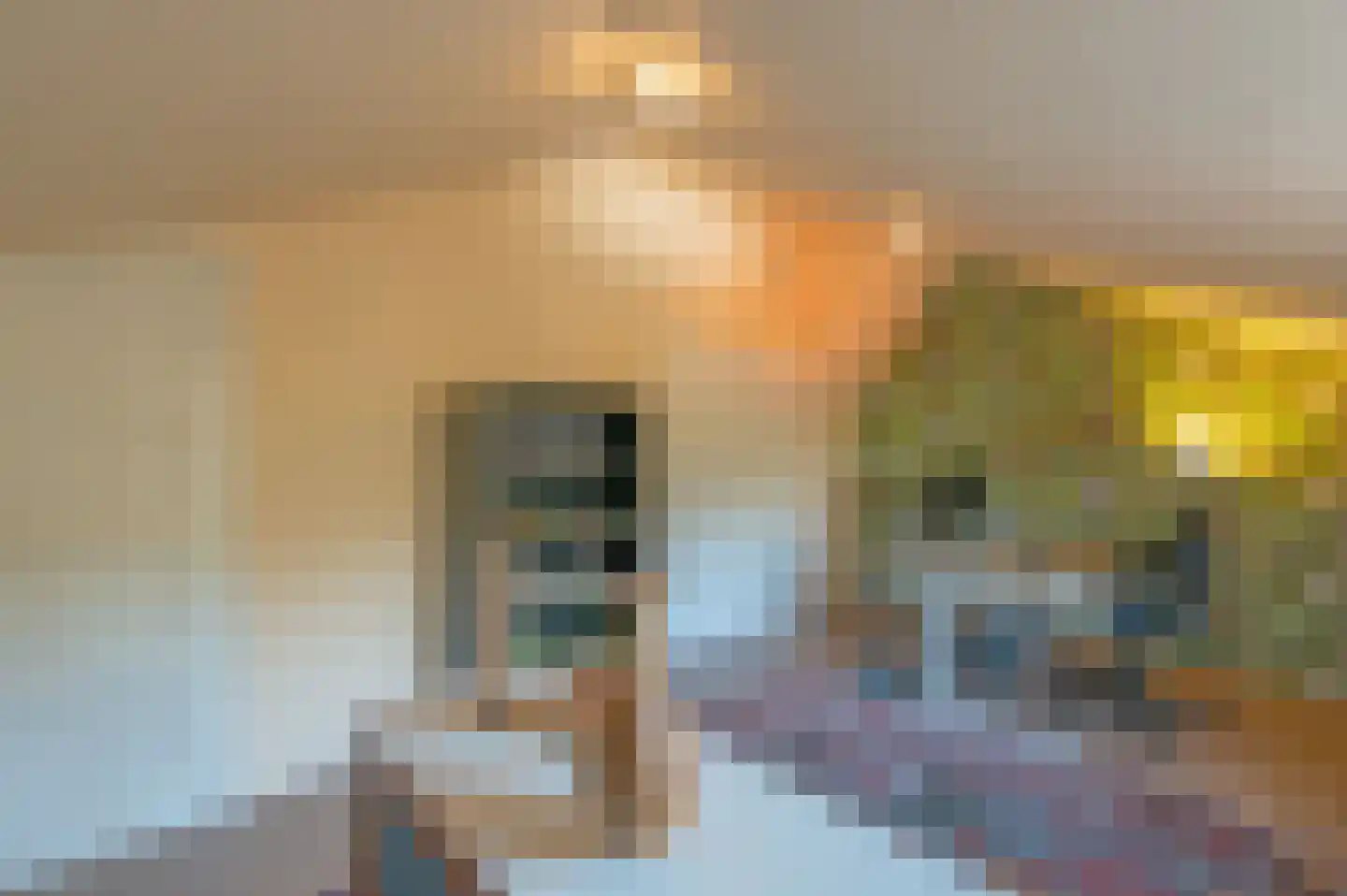 Raadhuisstraat 82 Waalre thumbnail 29