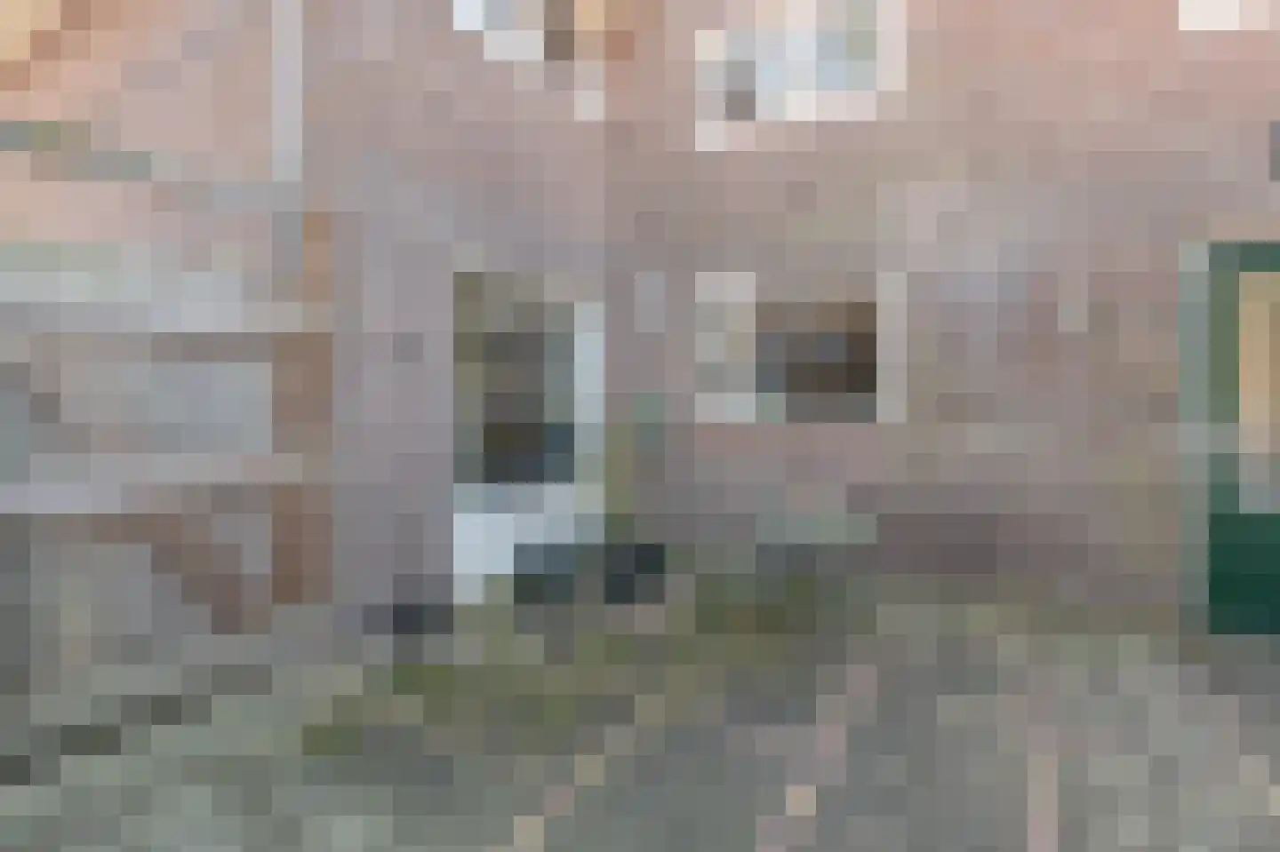 Raadhuisstraat 82 Waalre thumbnail 31