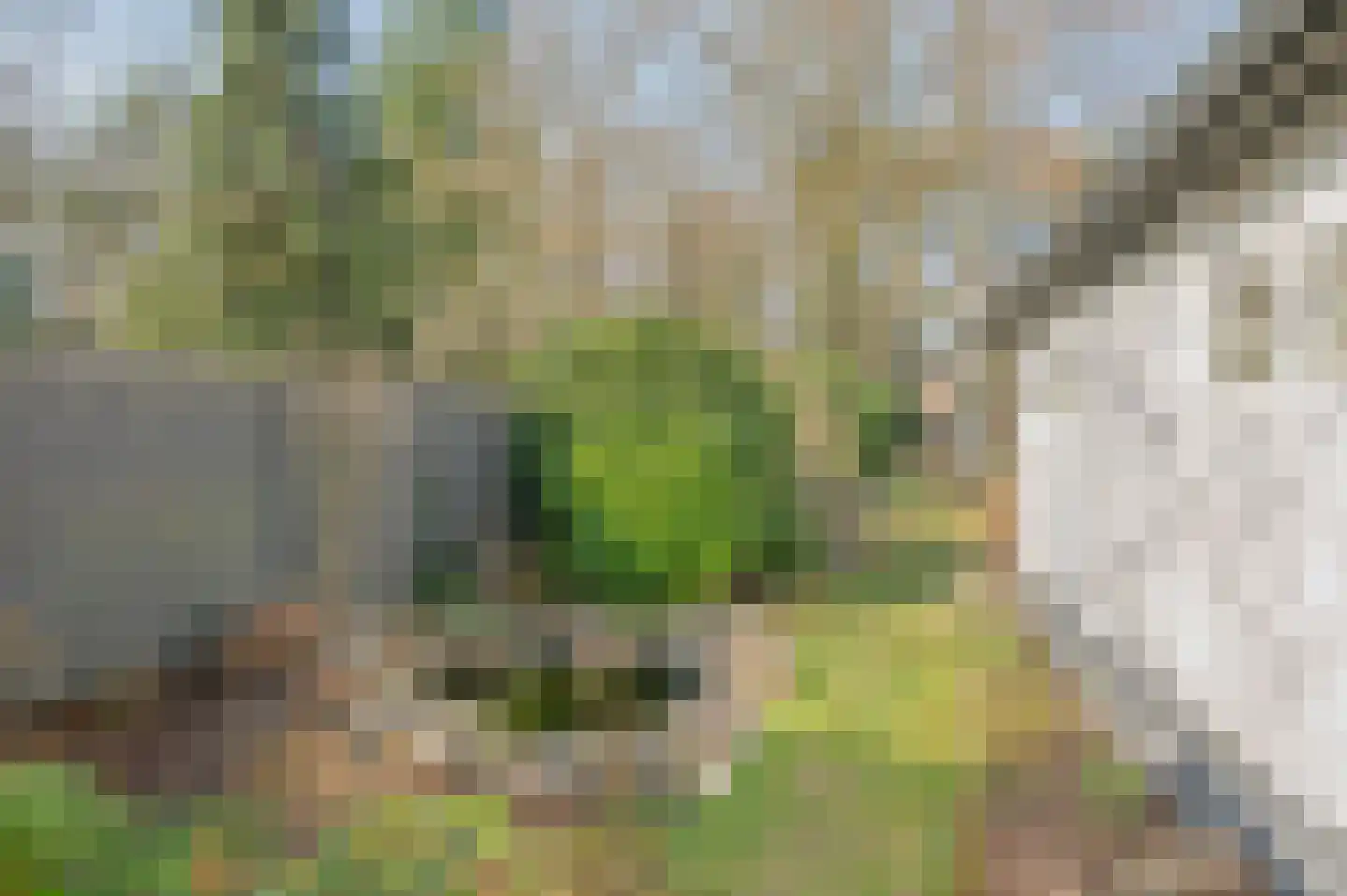Raadhuisstraat 82 Waalre thumbnail 33