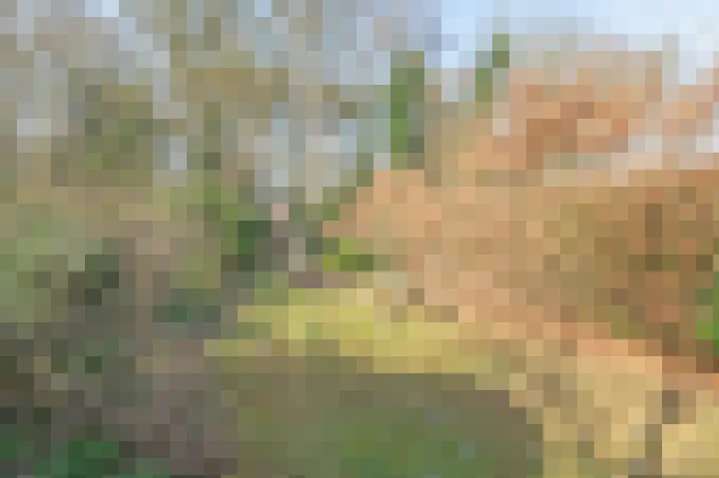 Raadhuisstraat 82 Waalre thumbnail 36