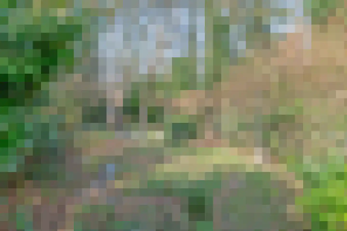 Raadhuisstraat 82 Waalre thumbnail 37