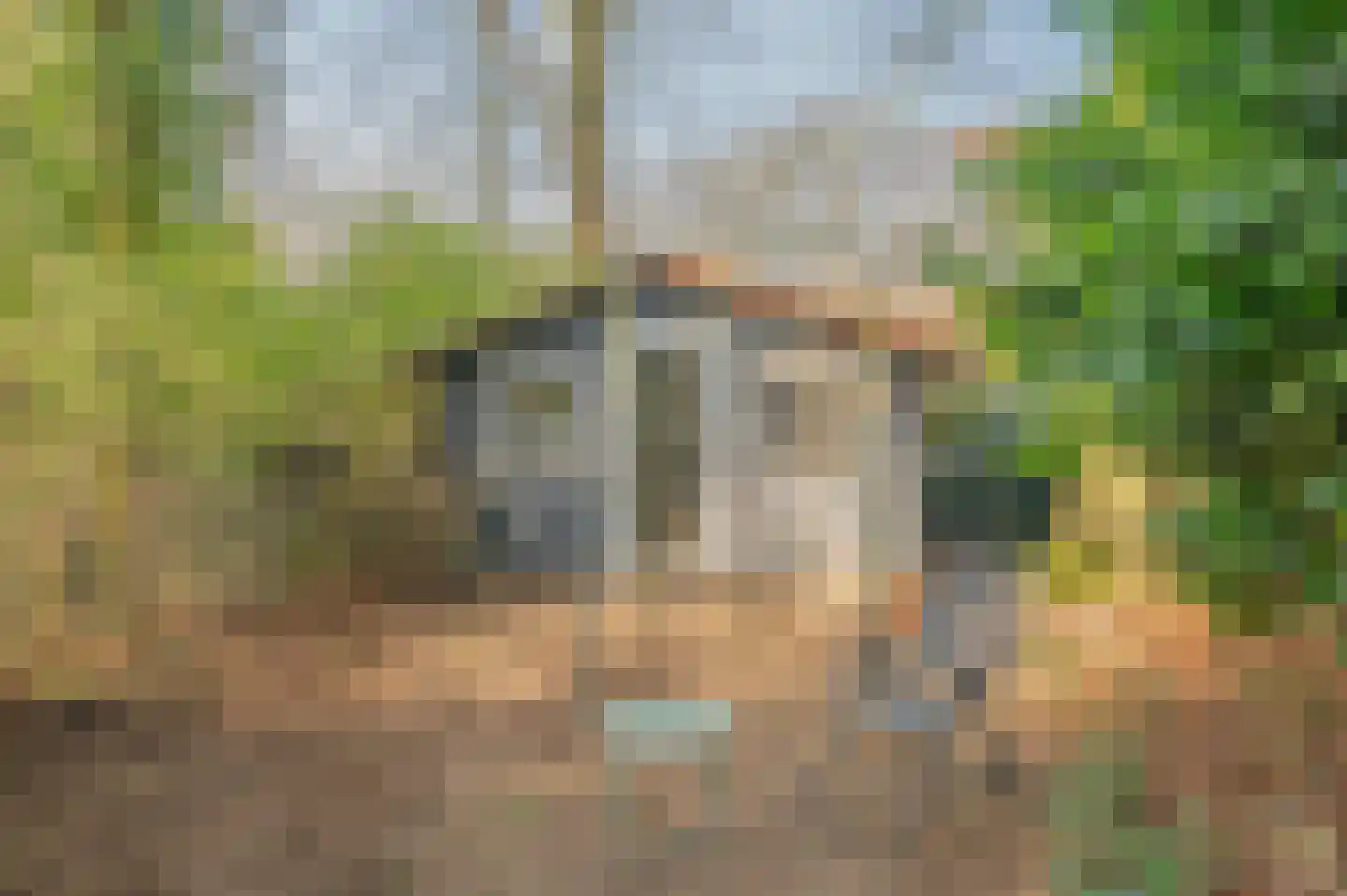 Raadhuisstraat 82 Waalre thumbnail 38