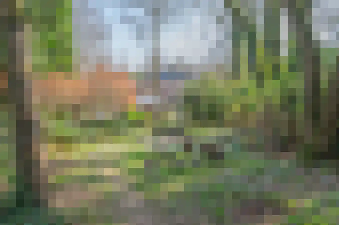 Raadhuisstraat 82 Waalre thumbnail 39