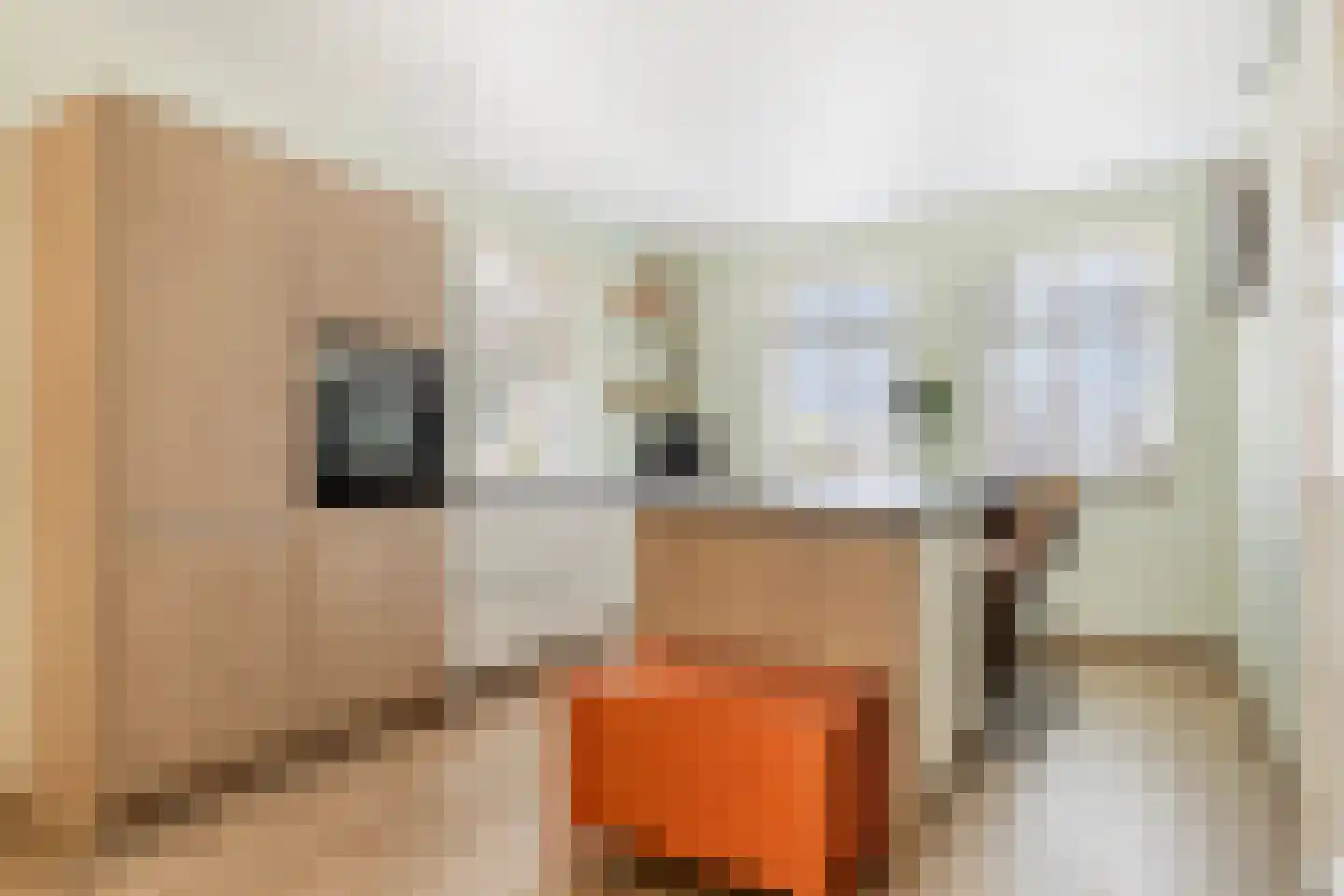 Raadhuisstraat 83 A Dirkshorn thumbnail 17