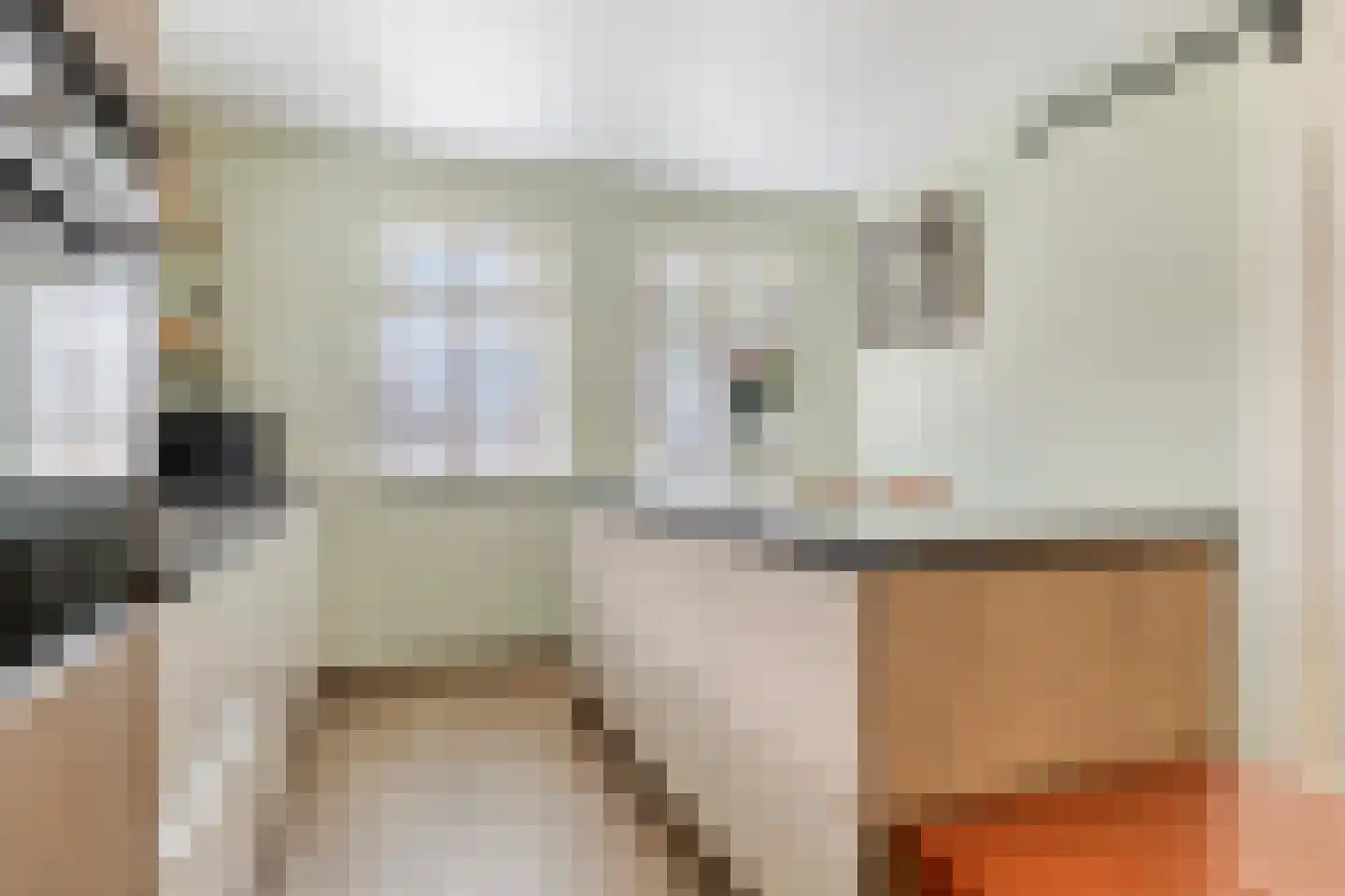 Raadhuisstraat 83 A Dirkshorn thumbnail 18
