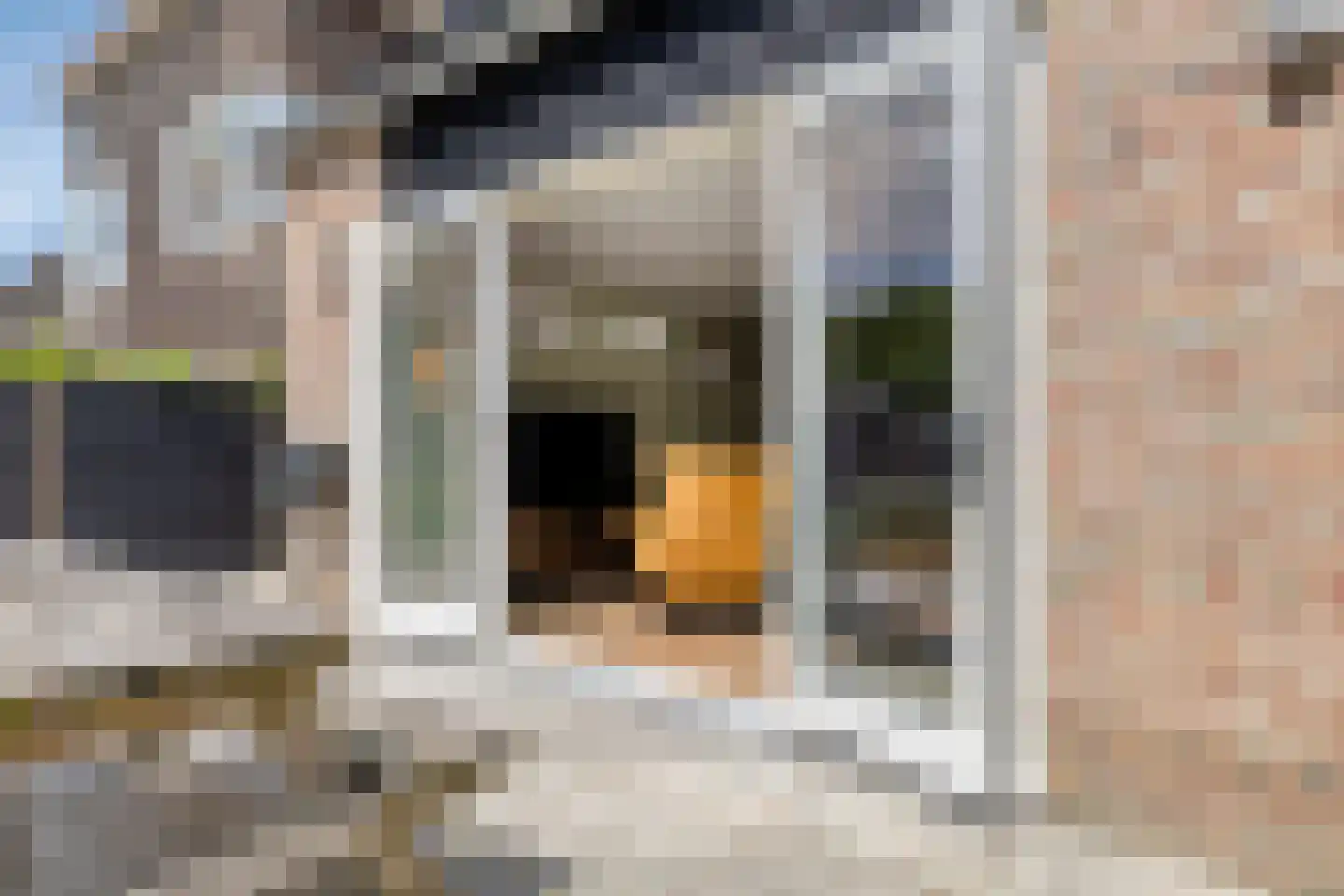 Raadhuisstraat 83 A Dirkshorn thumbnail 33
