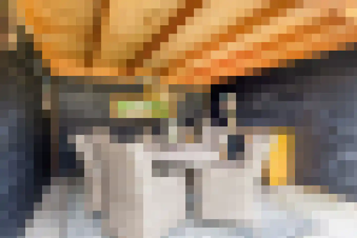 Raadhuisstraat 83 A Dirkshorn thumbnail 36