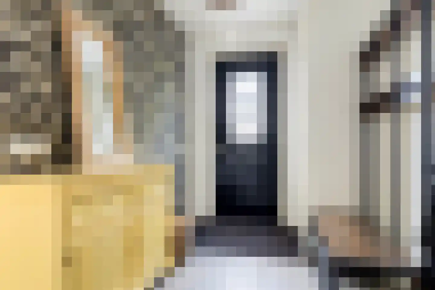 Raadhuisstraat 83 A Dirkshorn thumbnail 4