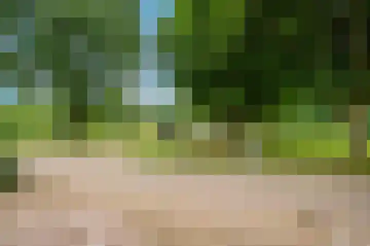 Raadhuisstraat 84 Beerta thumbnail 46