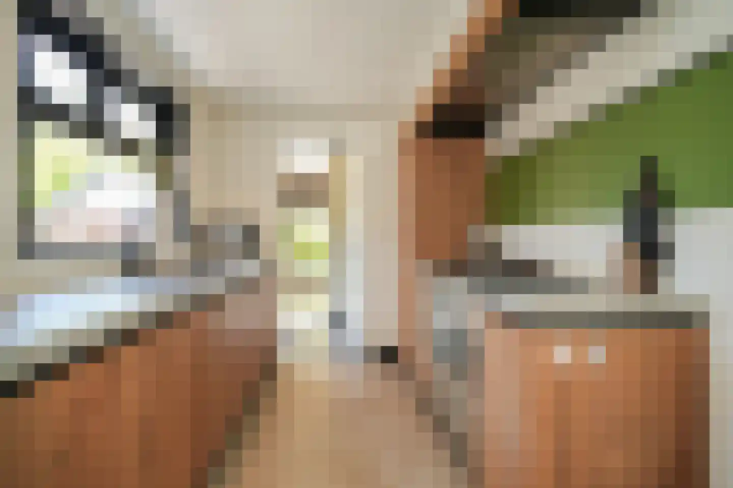 Raadhuisstraat 84 Waalre thumbnail 15