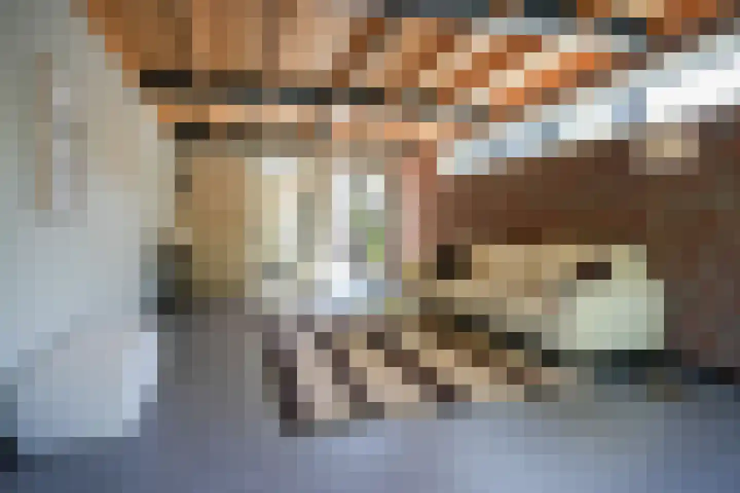 Raadhuisstraat 84 Waalre thumbnail 18