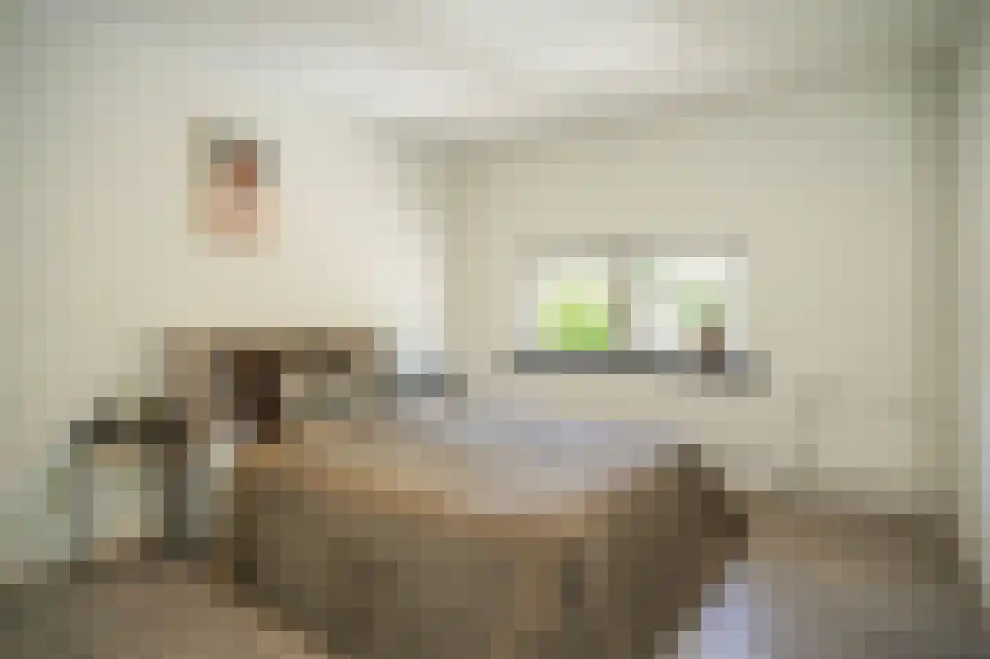 Raadhuisstraat 84 Waalre thumbnail 20