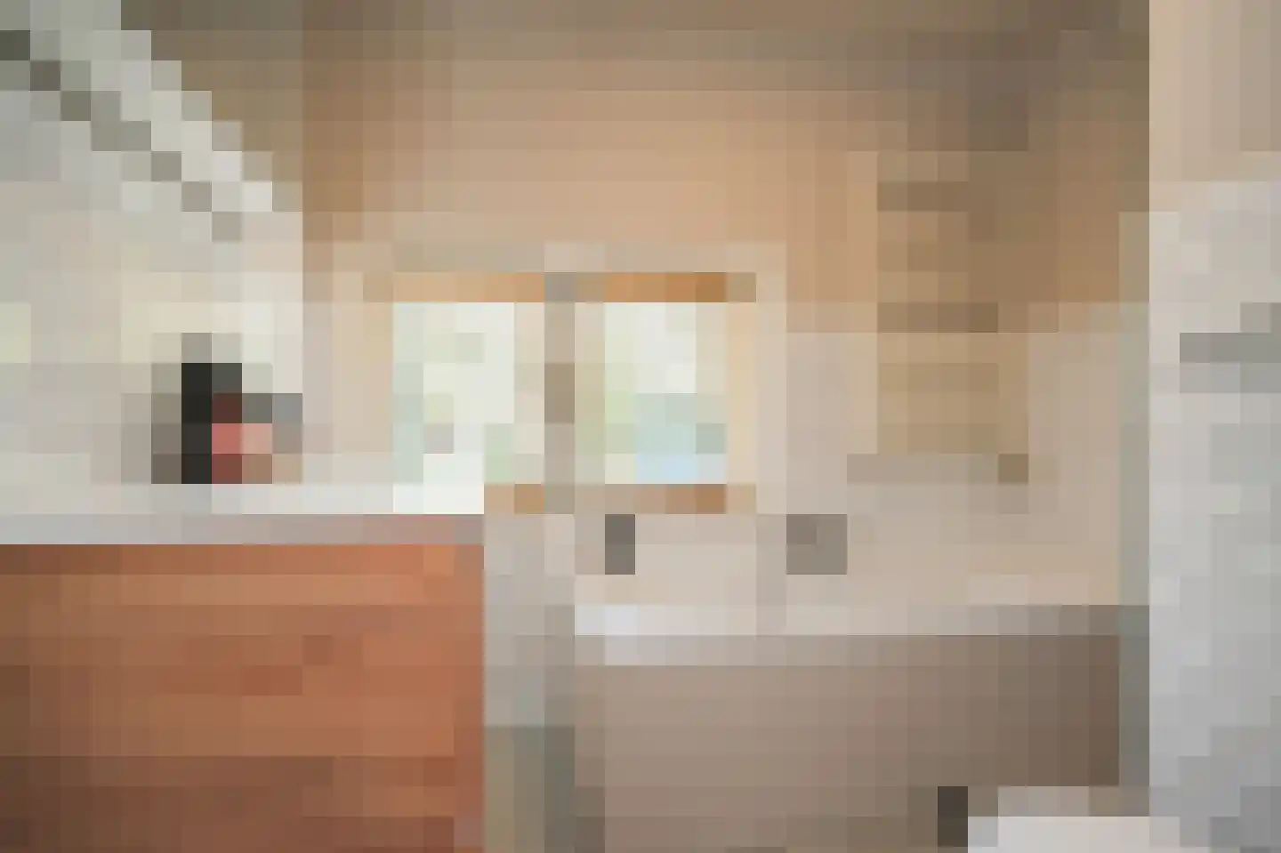 Raadhuisstraat 84 Waalre thumbnail 22