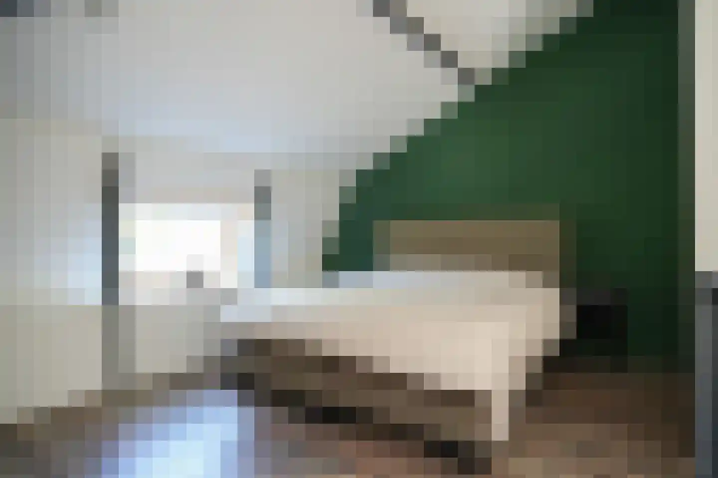 Raadhuisstraat 84 Waalre thumbnail 28