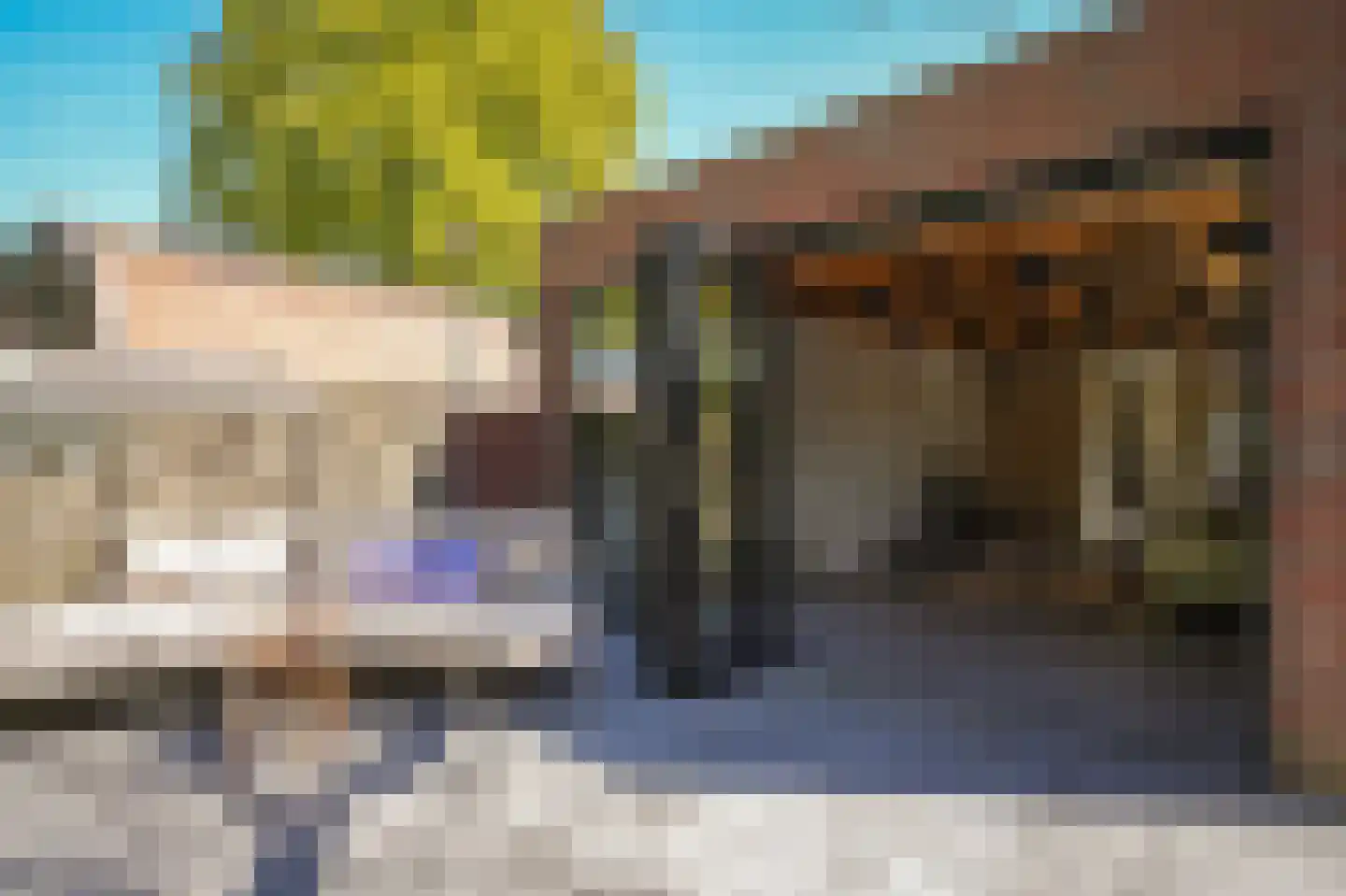 Raadhuisstraat 84 Waalre thumbnail 31