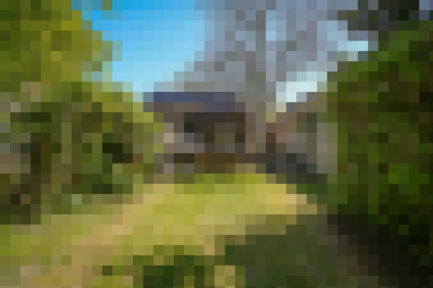 Raadhuisstraat 84 Waalre thumbnail 37