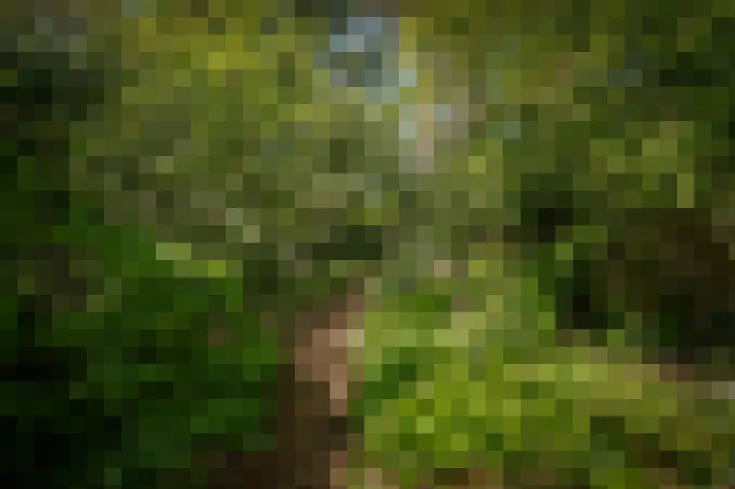 Raadhuisstraat 84 Waalre thumbnail 39