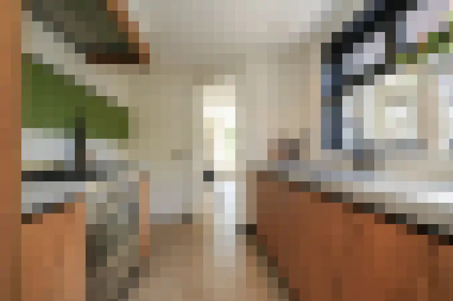 Raadhuisstraat 84 Waalre thumbnail 4