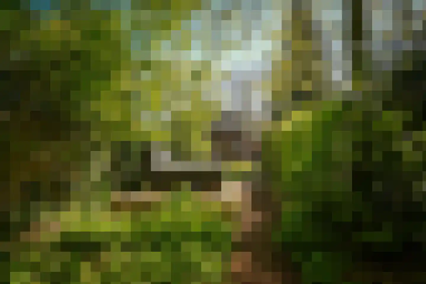 Raadhuisstraat 84 Waalre thumbnail 41