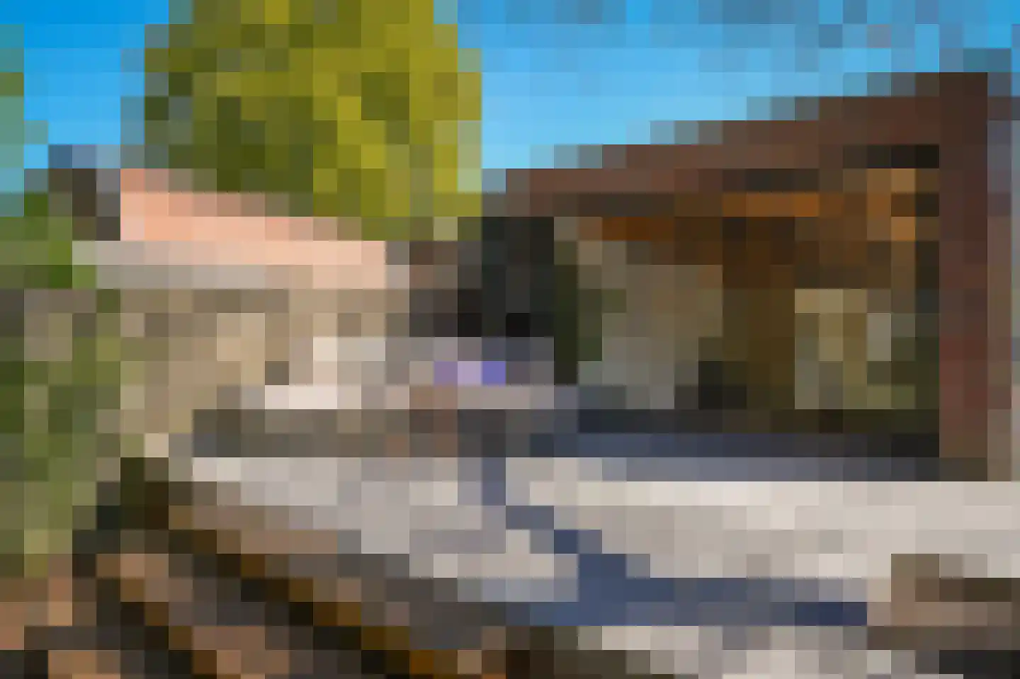 Raadhuisstraat 84 Waalre thumbnail 5