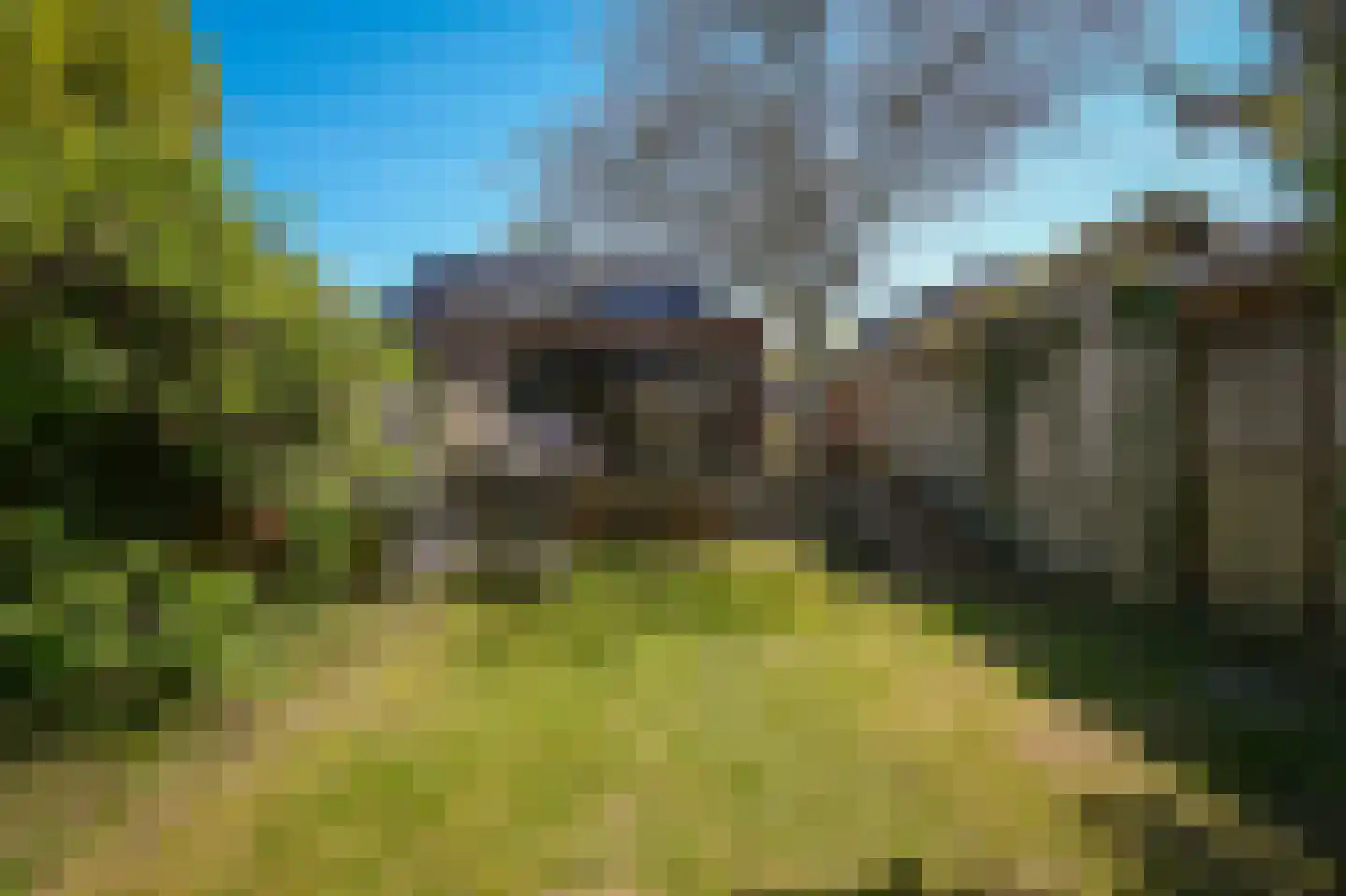 Raadhuisstraat 84 Waalre thumbnail 6