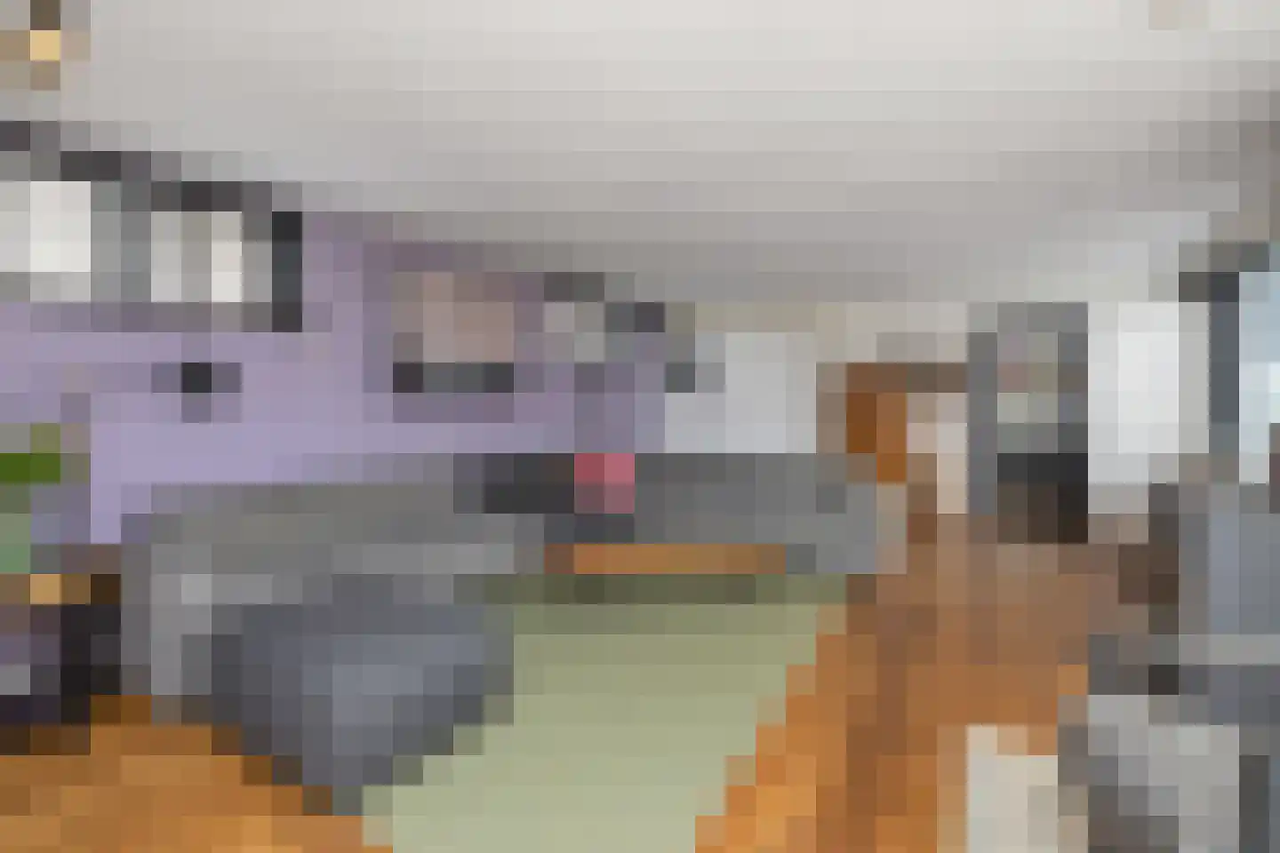 Raadhuisstraat 85 Dirkshorn thumbnail 10