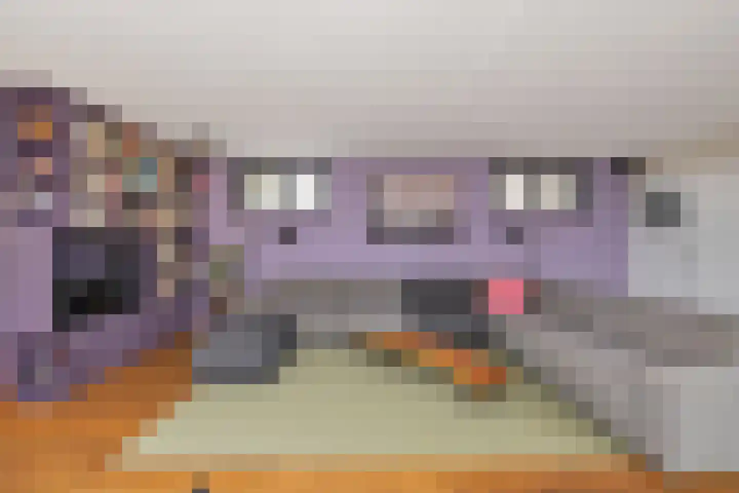 Raadhuisstraat 85 Dirkshorn thumbnail 11
