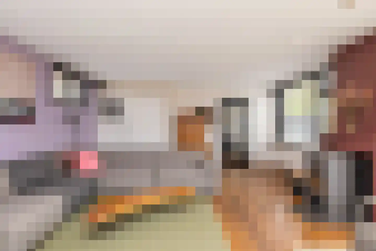 Raadhuisstraat 85 Dirkshorn thumbnail 13