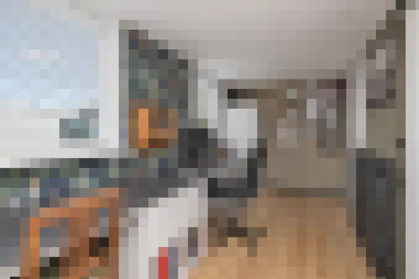 Raadhuisstraat 85 Dirkshorn thumbnail 14