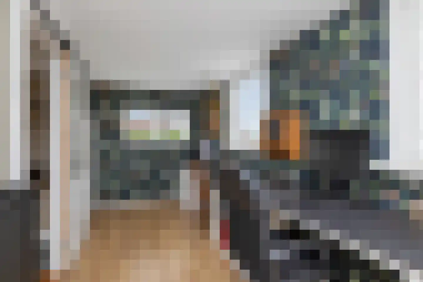 Raadhuisstraat 85 Dirkshorn thumbnail 15