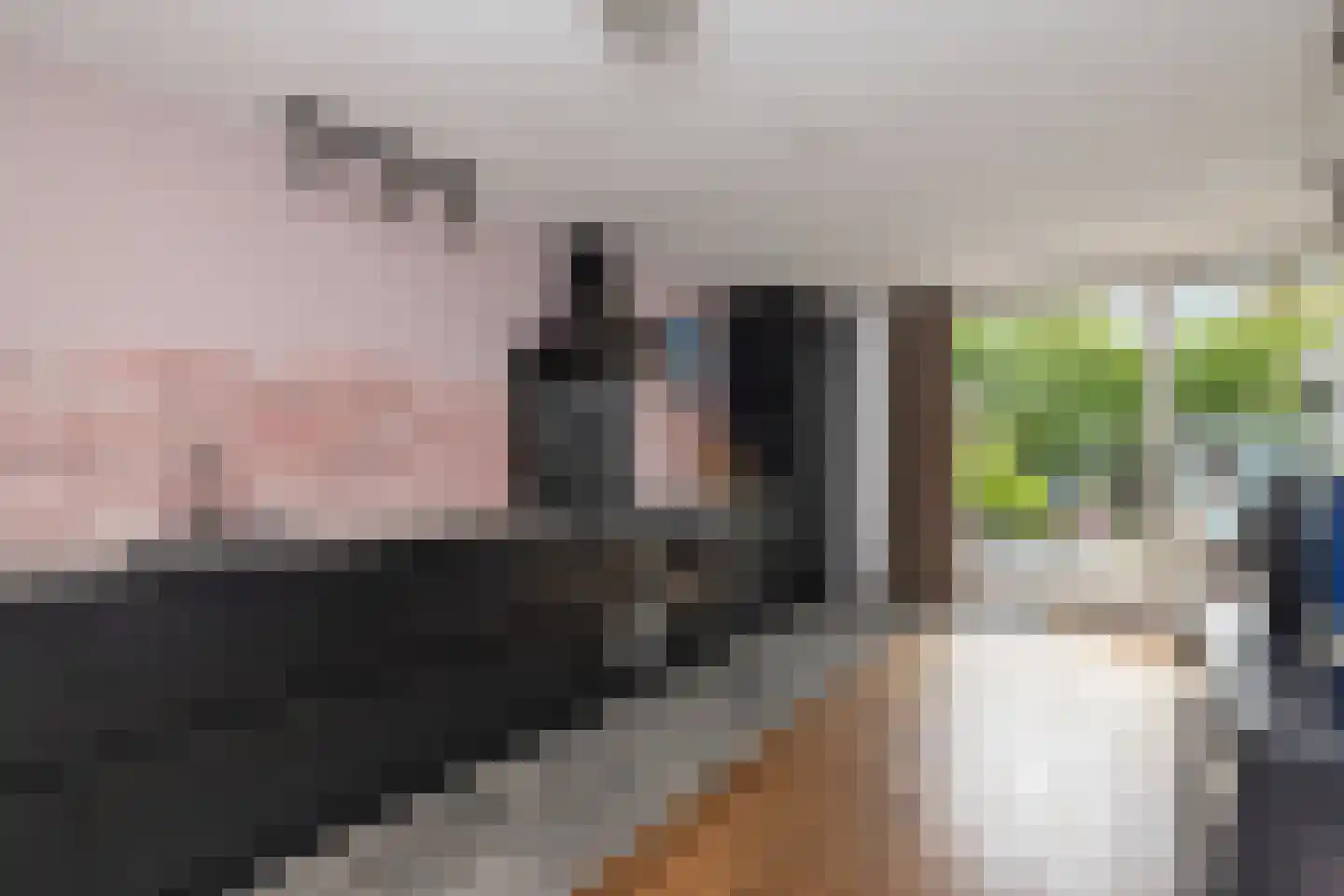 Raadhuisstraat 85 Dirkshorn thumbnail 16