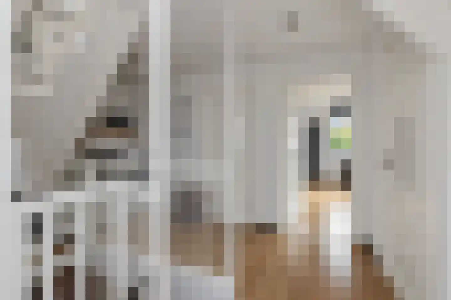 Raadhuisstraat 85 Dirkshorn thumbnail 19