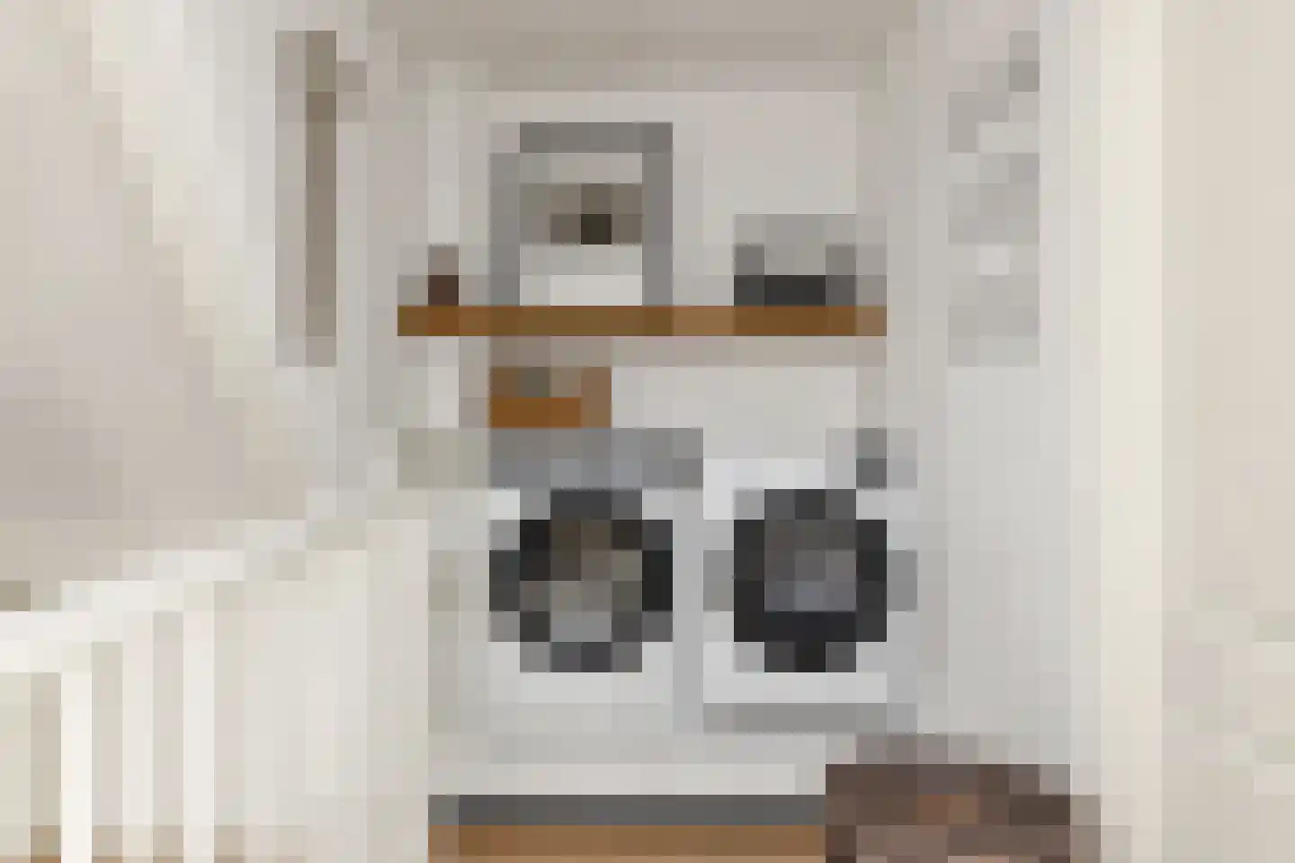 Raadhuisstraat 85 Dirkshorn thumbnail 20